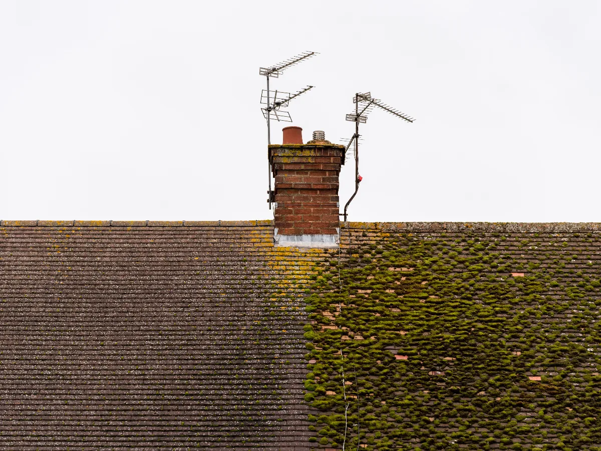 Oakcrest Roofing Ltd carrying out moss removal